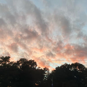 Meet your Posher, Lillyan